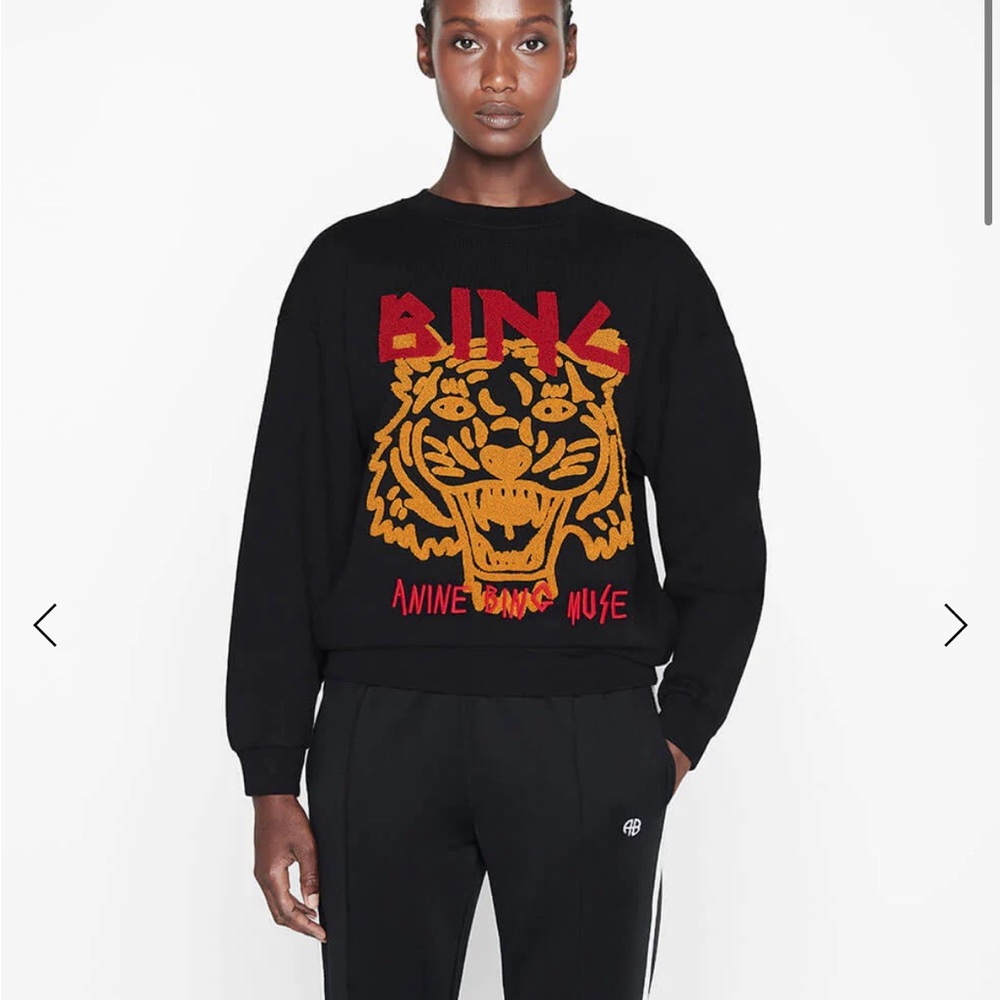 Anine Bing Tiger Sweater - worn a few times